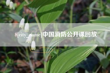 馆陶中国消防公开课回放