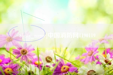 馆陶中国消防网1190119