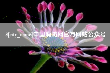 馆陶中国消防网官方网站公众号