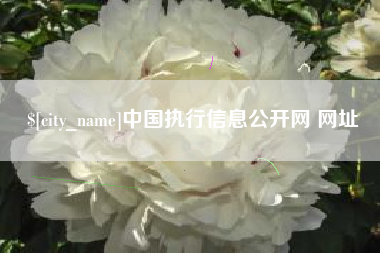 馆陶中国执行信息公开网 网址