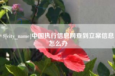 馆陶中国执行信息网查到立案信息怎么办