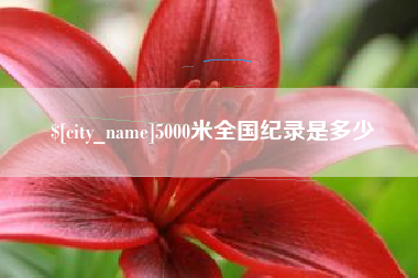 馆陶5000米全国纪录是多少