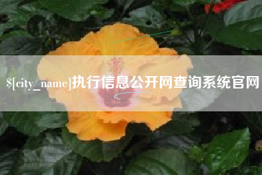 馆陶执行信息公开网查询系统官网
