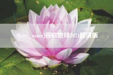 馆陶谷歌地球2024超清版