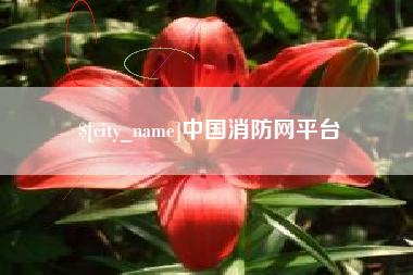 馆陶中国消防网平台