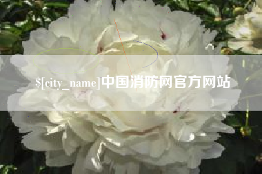 馆陶中国消防网官方网站