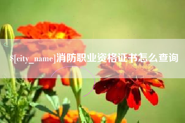 馆陶消防职业资格证书怎么查询