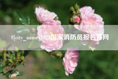 馆陶2021国家消防员报名官网