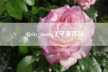 馆陶王子豪百科