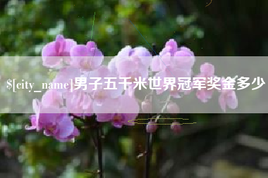 馆陶男子五千米世界冠军奖金多少