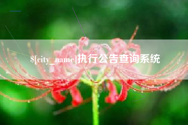 馆陶执行公告查询系统
