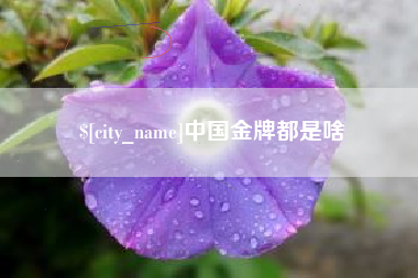 馆陶中国金牌都是啥