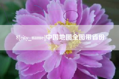 馆陶中国地图全图带省份
