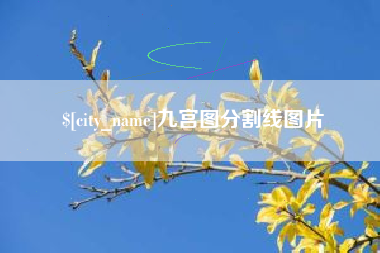 馆陶九宫图分割线图片