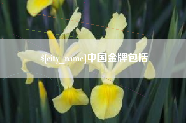 馆陶中国金牌包括