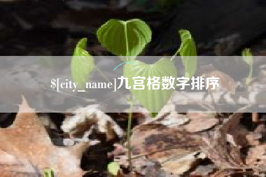馆陶九宫格数字排序