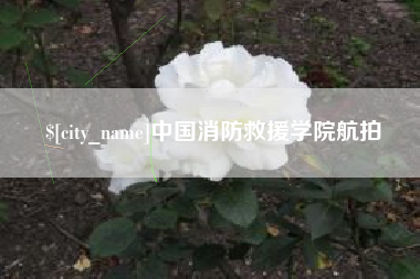 馆陶中国消防救援学院航拍