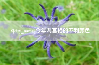 馆陶今年九宫格的不利颜色