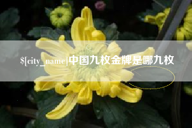 馆陶中国九枚金牌是哪九枚