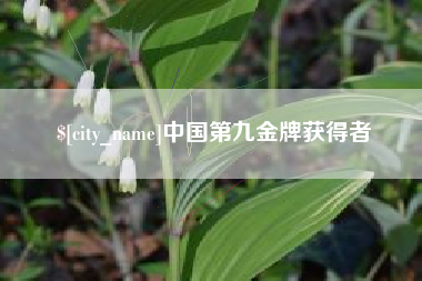 馆陶中国第九金牌获得者
