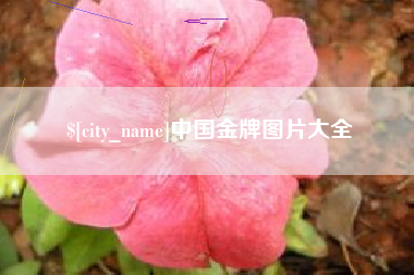 馆陶中国金牌图片大全