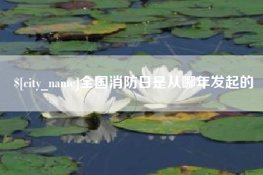 馆陶全国消防日是从哪年发起的