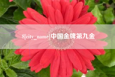 馆陶中国金牌第九金