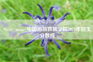 馆陶中国消防救援学院2024年招生分数线