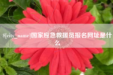 馆陶国家应急救援员报名网址是什么