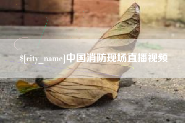 馆陶中国消防现场直播视频