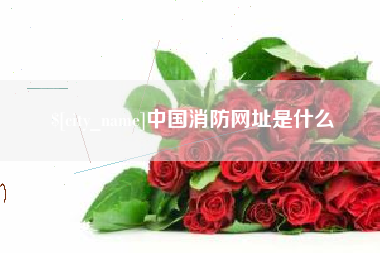 馆陶中国消防网址是什么
