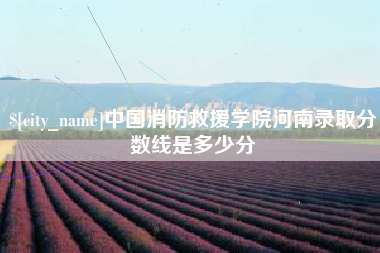 馆陶中国消防救援学院河南录取分数线是多少分
