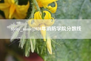 馆陶2020年消防学院分数线