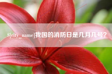 馆陶我国的消防日是几月几号？