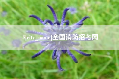 馆陶全国消防招考网