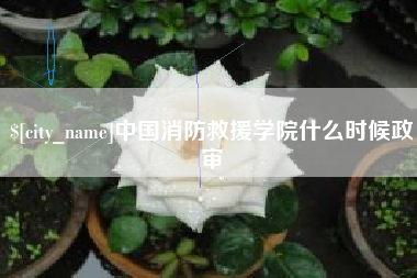 馆陶中国消防救援学院什么时候政审