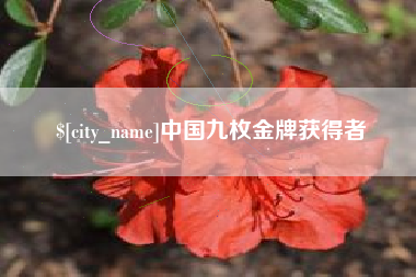 馆陶中国九枚金牌获得者