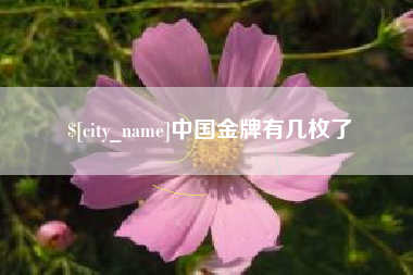 馆陶中国金牌有几枚了