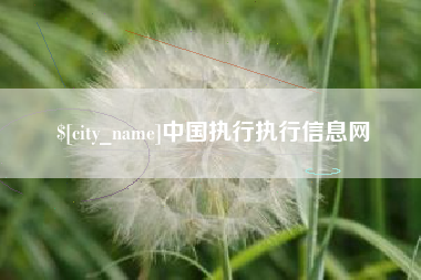 馆陶中国执行执行信息网