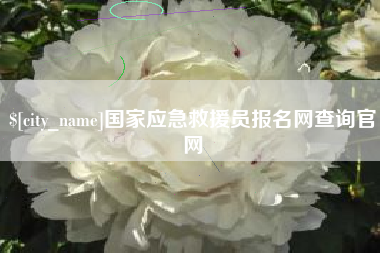 馆陶国家应急救援员报名网查询官网