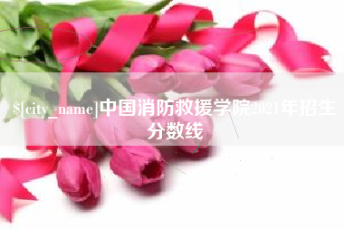 馆陶中国消防救援学院2021年招生分数线