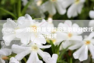馆陶消防救援学院招生录取分数线2020福建