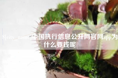 馆陶中国执行信息公开网官网app为什么要钱呢