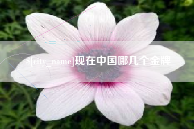馆陶现在中国哪几个金牌