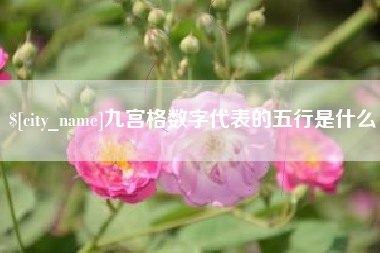 馆陶九宫格数字代表的五行是什么