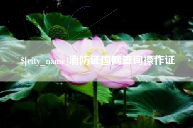 馆陶消防证国网查询操作证