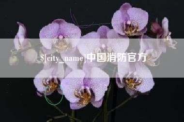 馆陶中国消防官方