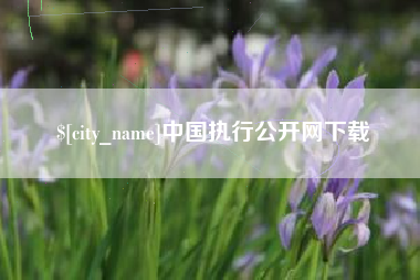 馆陶中国执行公开网下载