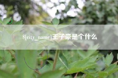 馆陶王子豪是个什么