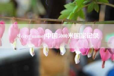 馆陶中国5000米国家记录